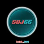 SBJ66 Game