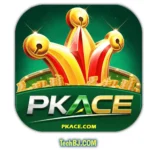 PKACE Game