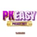 PKEasy Game