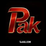 PakNew Game
