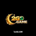 2Go Game