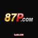 87P Game
