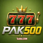 PAK500 Game