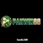 PAKWIN88 Game