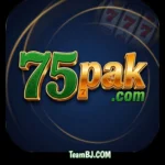 75pak Game