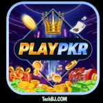 PLAYPKR Game